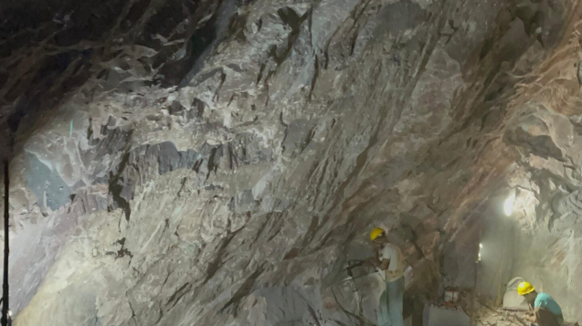 WhatsApp Image 2025-02-18 at 7.35.27 PM